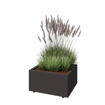 Jardinière en acier - Rectangle - 60 x 50 x 30 cm - RAL7016 mat (gris anthracite) - Avec plaque de fond - Avec pieds