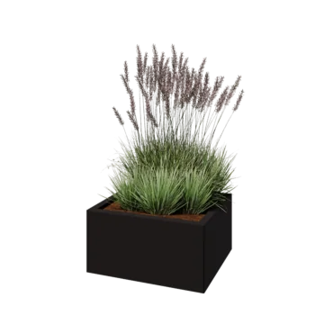 Jardinière en acier - Rectangle - 60 x 50 x 30 cm - RAL9005 mat (noir) - Sanc plaque de fond