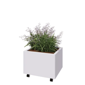 Jardinière en acier - Rectangle - 60 x 50 x 40 cm - RAL9010 mat (blanc) - Avec plaque de fond - Avec roulettes