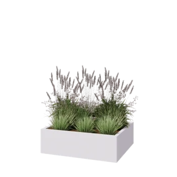 Jardinière en acier - Rectangle - 100 x 80 x 30 cm - RAL9010 mat (blanc) - Sanc plaque de fond
