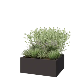 Jardinière en acier - Rectangle - 100 x 80 x 40 cm - RAL7016 mat (gris anthracite) - Avec plaque de fond