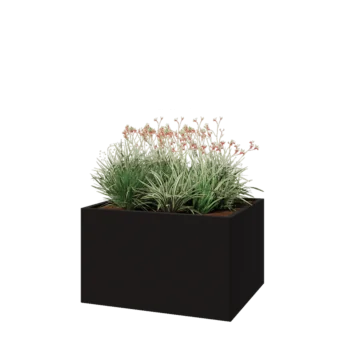 Jardinière en acier - Rectangle - 100 x 80 x 60 cm - RAL9005 mat (noir) - Sanc plaque de fond