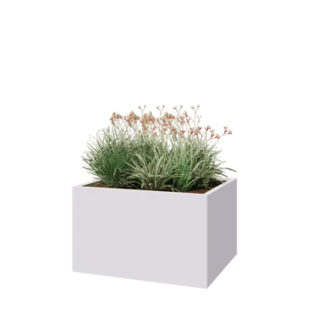 Jardinière en acier - Rectangle - 100 x 80 x 60 cm - RAL9010 mat (blanc) - Sanc plaque de fond