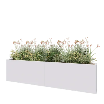 Jardinière XXL en acier - Rectangle - 240 x 30 x 60 cm - RAL9010 mat (blanc) - Avec plaque de fond