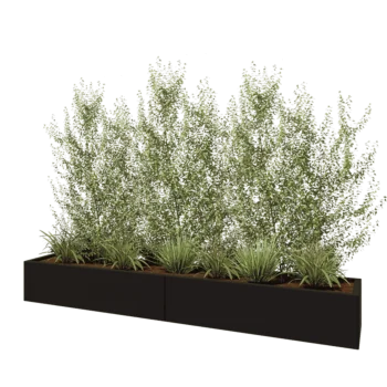 Jardinière XXL en acier - Rectangle - 240 x 40 x 30 cm - RAL9005 mat (noir) - Sanc plaque de fond