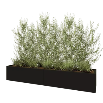 Jardinière XXL en acier - Rectangle - 240 x 50 x 40 cm - RAL9005 mat (noir) - Avec plaque de fond