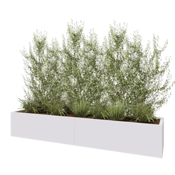 Jardinière XXL en acier - Rectangle - 240 x 50 x 40 cm - RAL9010 mat (blanc) - Sanc plaque de fond