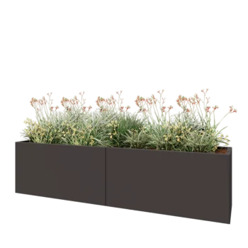 Jardinière XXL en acier - Rectangle - 240 x 50 x 60 cm - RAL7016 mat (gris anthracite) - Sanc plaque de fond