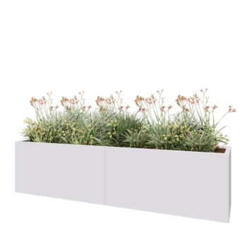 Jardinière XXL en acier - Rectangle - 240 x 50 x 60 cm - RAL9010 mat (blanc) - Avec plaque de fond