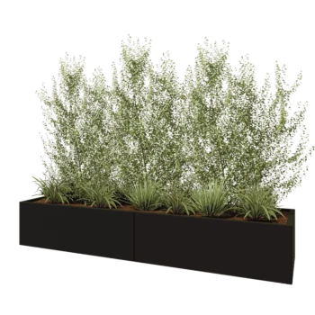 Jardinière XXL en acier - Rectangle - 240 x 60 x 40 cm - RAL9005 mat (noir) - Avec plaque de fond