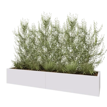 Jardinière XXL en acier - Rectangle - 240 x 60 x 40 cm - RAL9010 mat (blanc) - Sanc plaque de fond