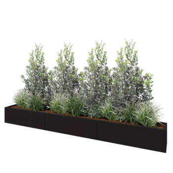Jardinière XXL en acier - Rectangle - 300 x 30 x 30 cm - RAL9005 mat (noir) - Sanc plaque de fond