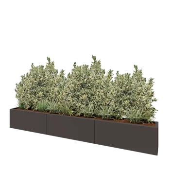 Jardinière XXL en acier - Rectangle - 300 x 30 x 40 cm - RAL7016 mat (gris anthracite) - Sanc plaque de fond