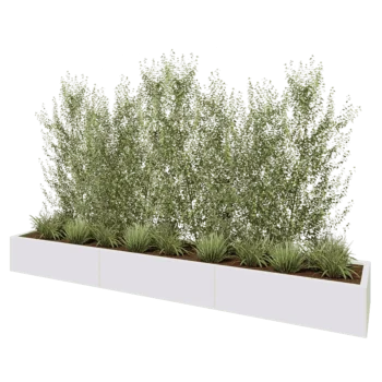 Jardinière XXL en acier - Rectangle - 300 x 50 x 30 cm - RAL9010 mat (blanc) - Sanc plaque de fond