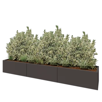 Jardinière XXL en acier - Rectangle - 300 x 50 x 40 cm - RAL7016 mat (gris anthracite) - Sanc plaque de fond
