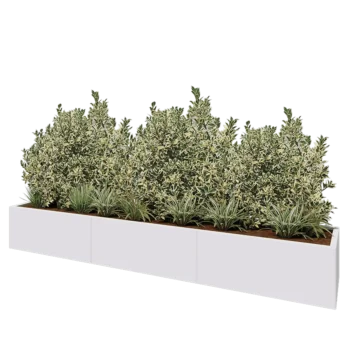 Jardinière XXL en acier - Rectangle - 300 x 50 x 40 cm - RAL9010 mat (blanc) - Sanc plaque de fond
