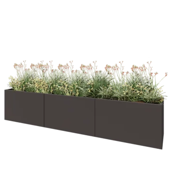 Jardinière XXL en acier - Rectangle - 300 x 50 x 60 cm - RAL7016 mat (gris anthracite) - Avec plaque de fond