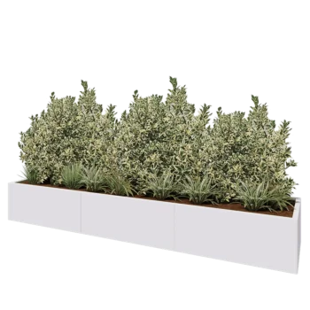 Jardinière XXL en acier - Rectangle - 300 x 60 x 40 cm - RAL9010 mat (blanc) - Avec plaque de fond