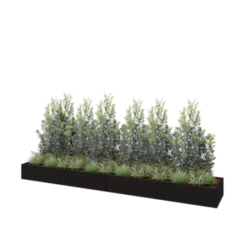 Jardinière XXL en acier - Rectangle - 400 x 60 x 30 cm - RAL9005 mat (noir) - Sanc plaque de fond