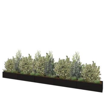 Jardinière XXL en acier - Rectangle - 500 x 40 x 30 cm - RAL9005 mat (noir) - Sanc plaque de fond