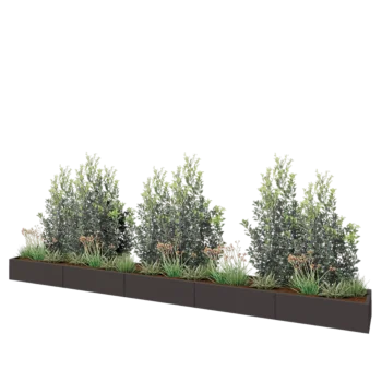 Jardinière XXL en acier - Rectangle - 500 x 50 x 30 cm - RAL7016 mat (gris anthracite) - Avec plaque de fond
