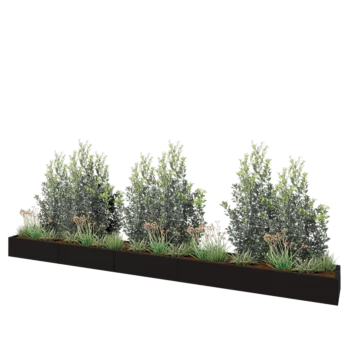 Jardinière XXL en acier - Rectangle - 500 x 50 x 30 cm - RAL9005 mat (noir) - Avec plaque de fond