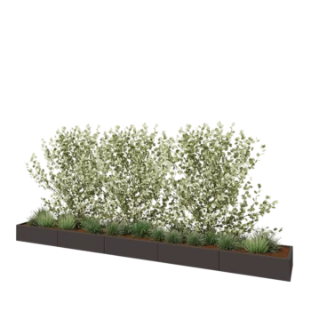 Jardinière XXL en acier - Rectangle - 500 x 60 x 30 cm - Autre couleur RAL - Avec plaque de fond