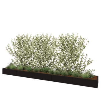 Jardinière XXL en acier - Rectangle - 500 x 60 x 30 cm - RAL9005 mat (noir) - Sanc plaque de fond