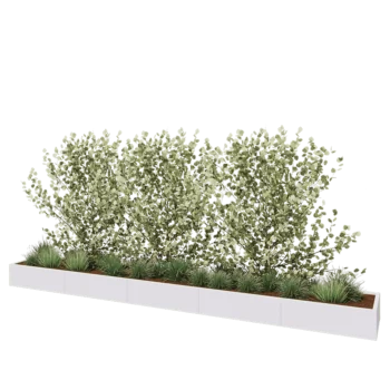Jardinière XXL en acier - Rectangle - 500 x 60 x 30 cm - RAL9010 mat (blanc) - Avec plaque de fond