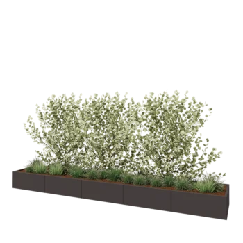 Jardinière XXL en acier - Rectangle - 500 x 80 x 40 cm - Autre couleur RAL - Sanc plaque de fond