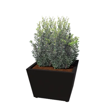 Jardinière en acier - Cône - 80 x 80 x 51,5 cm - Soudé - RAL9005 mat (noir) - Avec plaque de fond