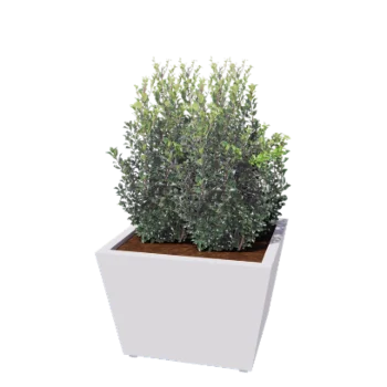 Jardinière en acier - Cône - 80 x 80 x 51,5 cm - Soudé - RAL9010 mat (blanc) - Avec plaque de fond