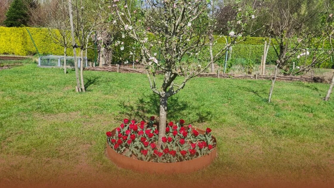 Comment faire une bordure autour d'un arbre ?