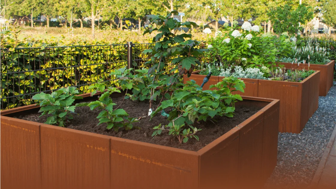 Guide de l'acier corten : tout ce que vous devez savoir sur ce matériau