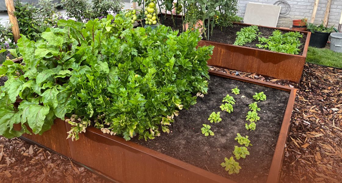 Inspiration et idées pour un jardin potager